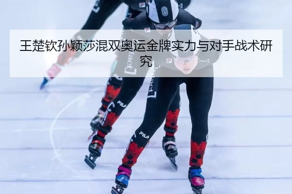 wang-chu-qin-sun-ying-sha-hun-shuang-ao-yun-jin-pai-shi-li-yu-dui-shou-zhan-shu-yan-jiu-3-499.jpg
